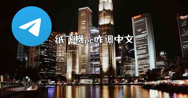 纸飞機pc咋调中文