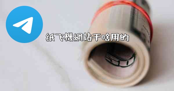 纸飞機網站干啥用的