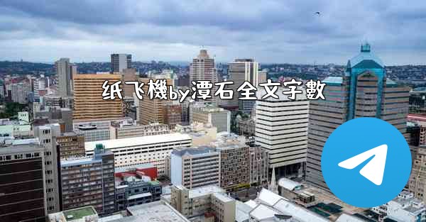 纸飞機by潭石全文字數