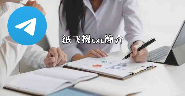 <b>纸飞機txt簡介</b>