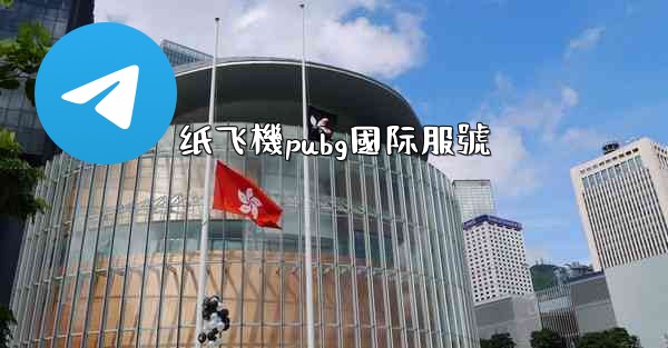 纸飞機pubg國际服號