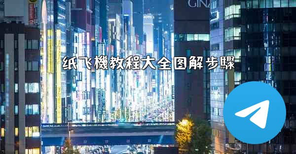 纸飞機教程大全图解步驟