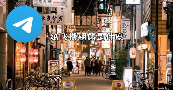 纸飞機網站是什麼