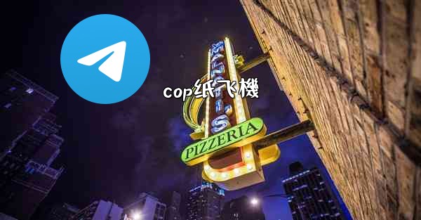 cop纸飞機