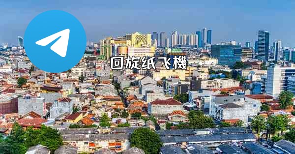 <b>回旋纸飞機</b>