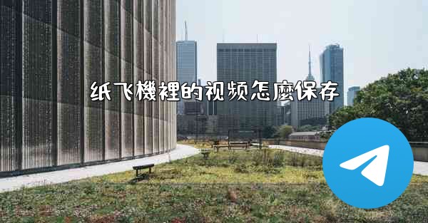 纸飞機裡的视频怎麼保存