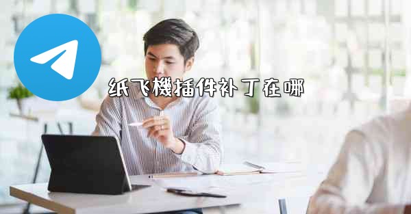 纸飞機插件补丁在哪