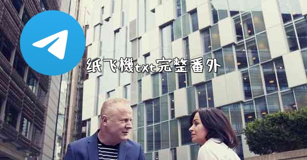 纸飞機txt完整番外