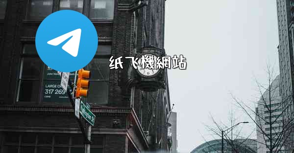纸飞機網站