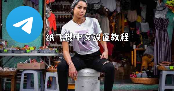 纸飞機中文設置教程