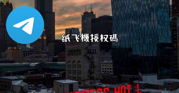 纸飞機授权碼