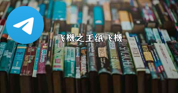 飞機之王纸飞機