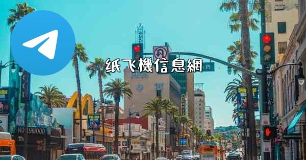 纸飞機信息網