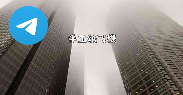 <b>手工纸飞機</b>