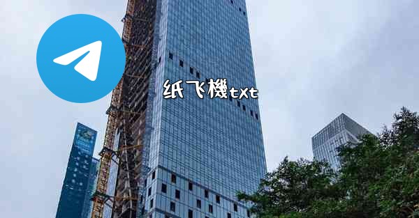 纸飞機txt