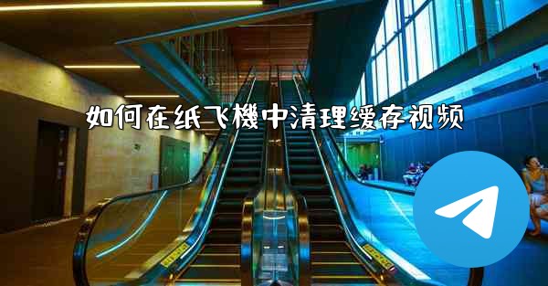 如何在纸飞機中清理缓存视频