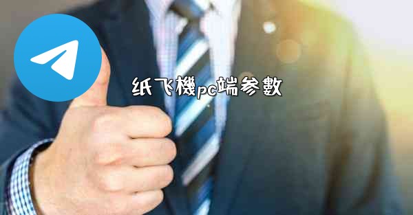纸飞機pc端参數