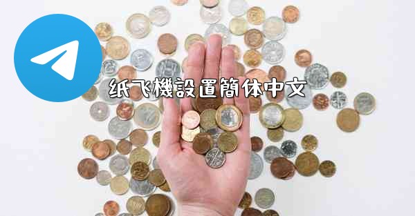 纸飞機設置簡体中文