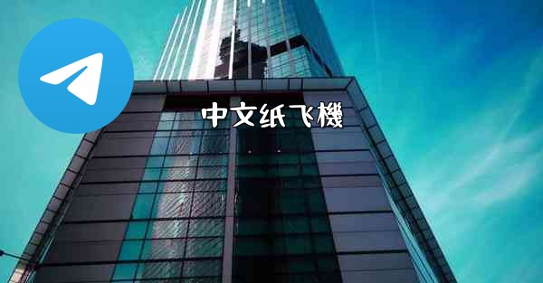 中文纸飞機