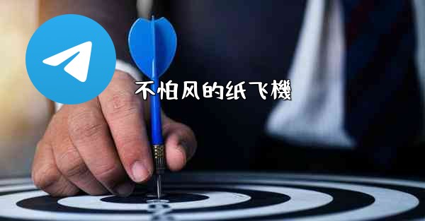 不怕风的纸飞機
