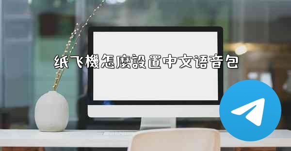 纸飞機怎麼設置中文语音包