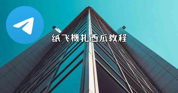 <b>纸飞機扎西瓜教程</b>