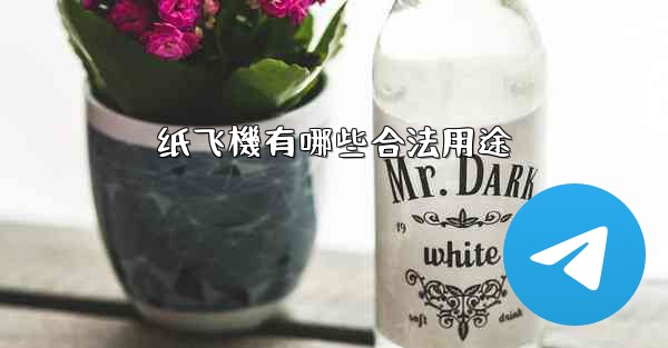 纸飞機有哪些合法用途