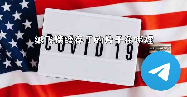 纸飞機缓存了的片子在哪裡