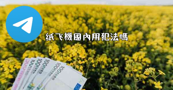 纸飞機國內用犯法嗎