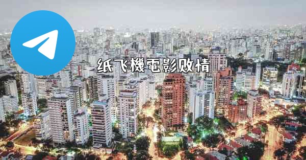 纸飞機電影剧情