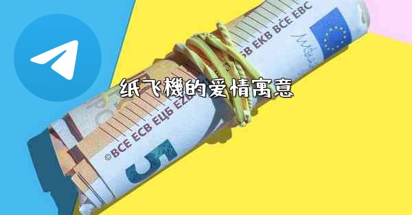 纸飞機的爱情寓意