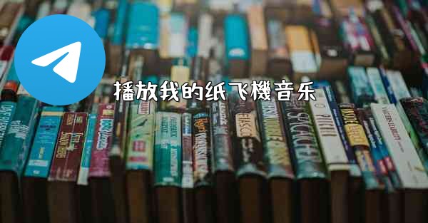 播放我的纸飞機音乐