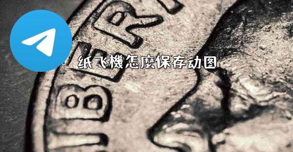 纸飞機怎麼保存动图