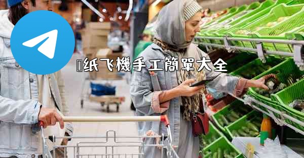 <b>叠纸飞機手工簡單大全</b>