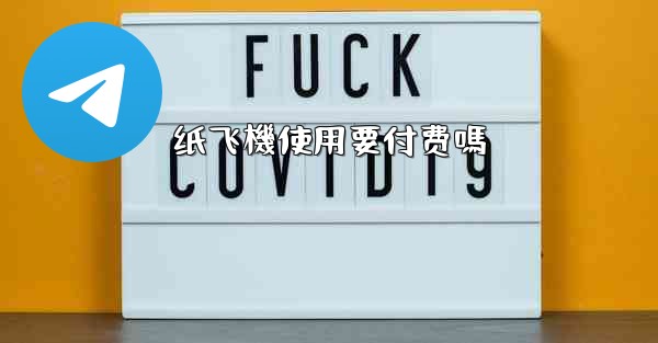 <b>纸飞機使用要付费嗎</b>