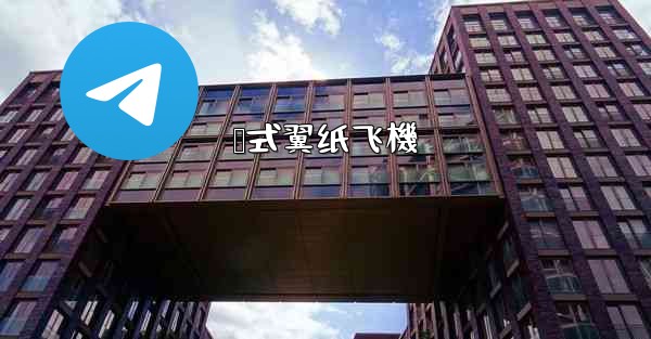 <b>鸭式翼纸飞機</b>