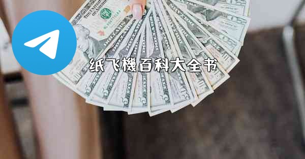 纸飞機百科大全书