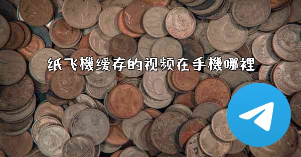 纸飞機缓存的视频在手機哪裡
