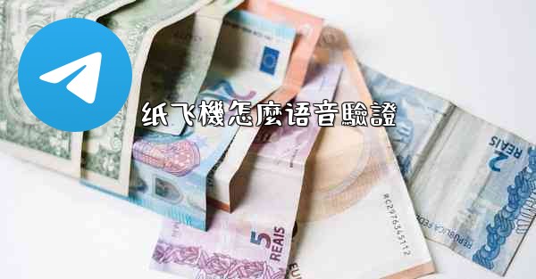 纸飞機怎麼语音驗證
