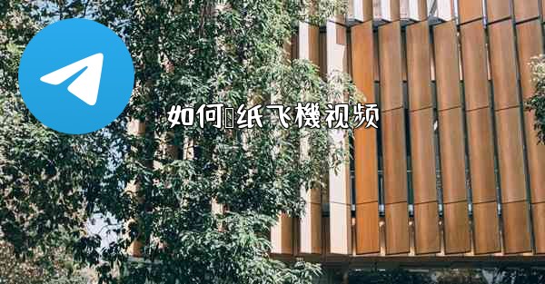 如何叠纸飞機视频