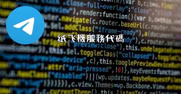<b>纸飞機服務代碼</b>