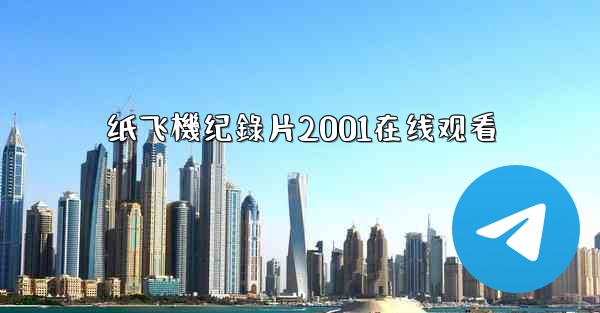 纸飞機纪錄片2001在线观看