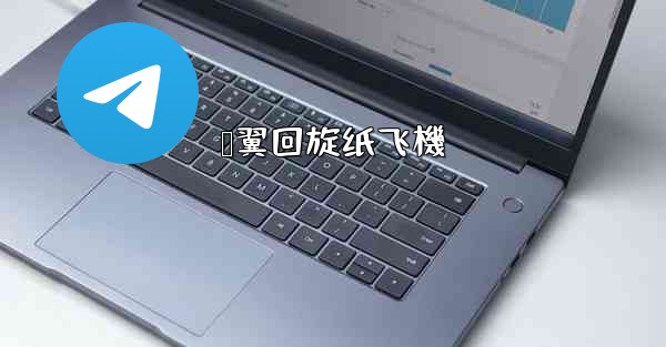 鸭翼回旋纸飞機