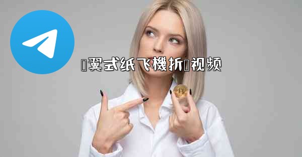 鸭翼式纸飞機折叠视频