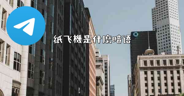 纸飞機是什麼暗语