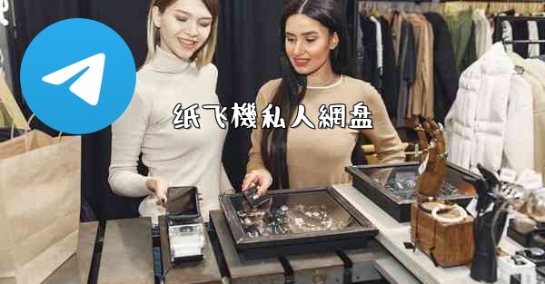 纸飞機私人網盘