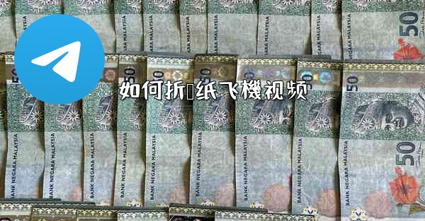 如何折叠纸飞機视频