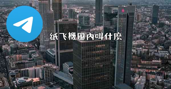 纸飞機國內叫什麼