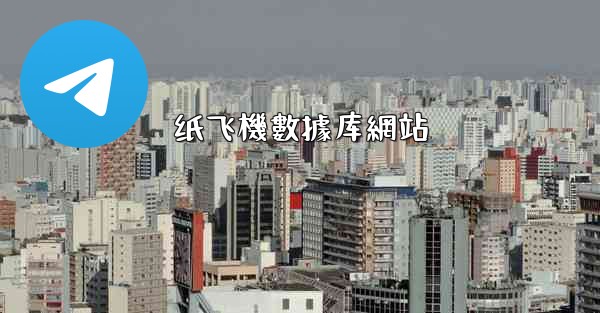 纸飞機數據库網站