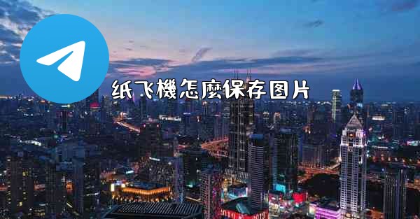 <b>纸飞機怎麼保存图片</b>